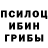 Галлюциногенные грибы прущие грибы Egor Sarma