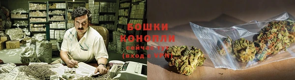 ешки Арсеньев