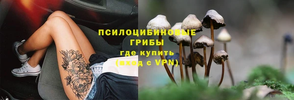 ешки Арсеньев