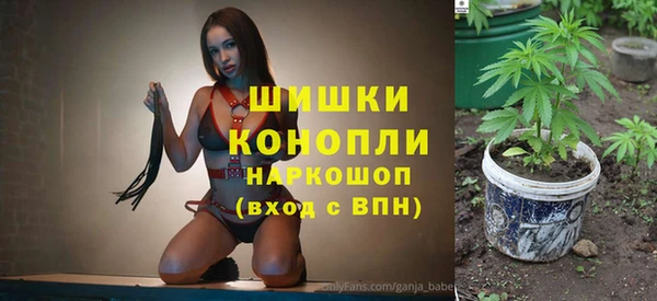 ешки Арсеньев